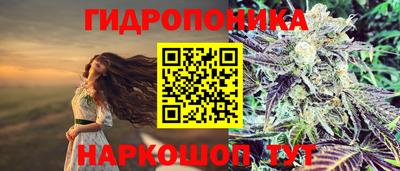 дживик Кингисепп