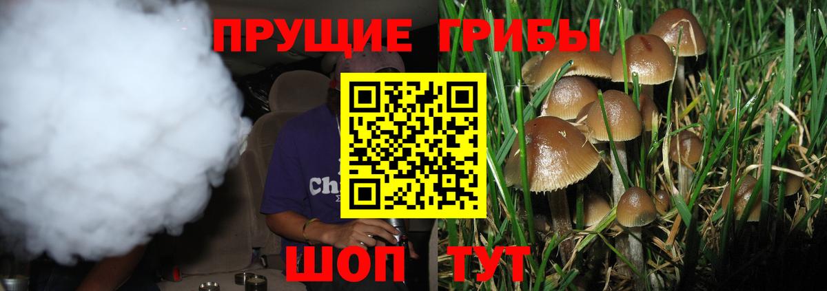 Псилоцибиновые грибы мицелий Коряжма