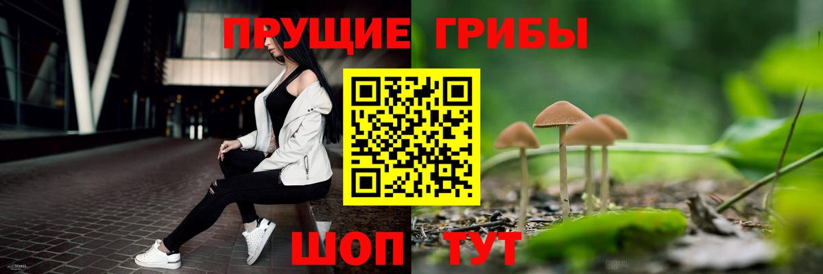 Коряжма  Псилоцибиновые грибы мухоморы  наркошоп  Псилоцибиновые грибы GOLDEN TEACHER  Вход с VPN 